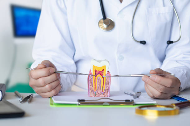 Best Root Canal Emergency Dentist  in South Elgin, IL